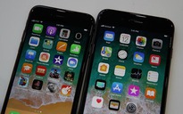 Doanh số iPhone 8 Plus đang vượt mặt 'người em' iPhone 8