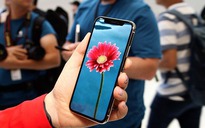 Apple không dùng tấm nền OLED của Samsung trong iPhone X 6,5 inch