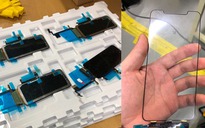 Rò rỉ tấm nền OLED 6,5 inch của iPhone Xs Plus từ nhà máy LG