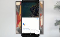 Google Lens có thể nhận biết thông tin thú cưng