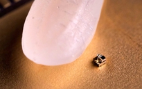 Máy tính nhỏ nhất thế giới nhỏ hơn cả hạt gạo