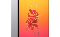iPad Pro mới sẽ nhỏ hơn, bỏ cổng tai nghe 3,5 mm