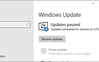 Windows 10 Home sẽ cho phép tạm dừng việc cập nhật