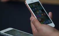 iPhone SE giá 249 USD hút hàng, Apple tiếp tục mở bán