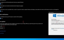 Windows 10 Home cho tạm dừng cập nhật tối đa 35 ngày