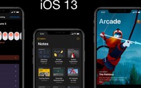 iOS 13 âm thầm tích hợp bộ tra từ điển tiếng Việt miễn phí