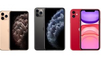 Đâu là khác biệt lớn giữa iPhone 11 và iPhone 11 Pro?