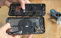 iPhone 11 Pro Max có phần cứng hỗ trợ sạc không dây ngược