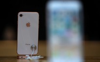 iPhone SE 2 sẽ có thiết kế ăng-ten mới tăng khả năng kết nối