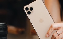 Loạt iPhone 11 chính hãng mở bán tại Việt Nam, sức mua tăng vọt