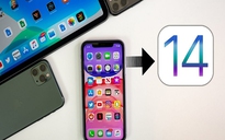 Mọi thiết bị iOS 13 đều có thể lên đời iOS 14?