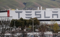 Tesla giảm 75% nhân sự nhà máy California vì Covid-19