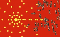 Trò chơi Coronavirus Attack bị chặn tại Trung Quốc