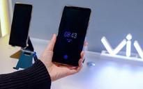 Hơn 13.500 điện thoại Vivo sử dụng cùng một IMEI