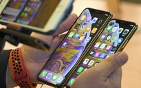 Apple không sử dụng OLED BOE cho lô iPhone 12 đầu tiên