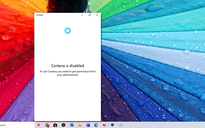 Khắc phục sự cố Cortana bị vô hiệu hóa trên Windows 10