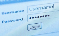 ‘123456’ nằm trong danh sách 142 mật khẩu phổ biến
