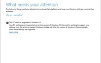 Windows 10 2004 gặp lỗi chặn một số người dùng khi nâng cấp