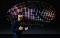 Bộ xử lý Apple Silicon đầu tiên sẽ đi kèm 12 lõi