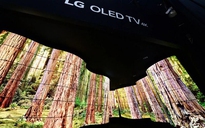 LG Display tăng gấp đôi nỗ lực vào TV OLED