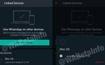 WhatsApp cho phép liên kết một tài khoản với nhiều thiết bị