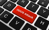 Số lượng tấn công DDoS tăng mạnh