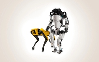 Hyundai thâu tóm phần lớn Boston Dynamics