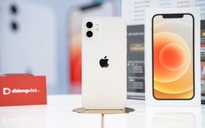 iPhone 12/12 mini giảm giá tại thị trường Việt Nam