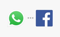 WhatsApp trì hoãn cập nhật chính sách riêng tư mới