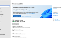 Microsoft phát hành bản cập nhật tính năng mới cho Windows 11