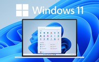Lượng người dùng Windows 11 tăng gần gấp đôi so với tháng trước