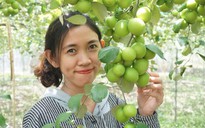 'Ăn' theo phim Cây táo nở hoa, cô gái khởi nghiệp kiếm bộn tiền trong dịch