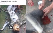 Xác minh nhóm người đàn ông giết khỉ rồi phát trực tiếp trên Facebook