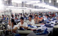 Được hứa trả toàn bộ lương, hàng trăm công nhân ở Hà Tĩnh đi làm trở lại