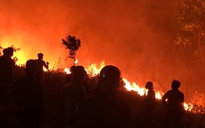 Thâu đêm tạo đường băng cản lửa chữa cháy rừng ở Hà Tĩnh