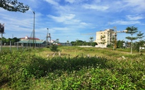 Cận cảnh hơn 4 ha ‘đất vàng’ bỏ hoang ở Hà Tĩnh
