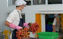 Quy định mới doanh nghiệp cần biết khi xuất khẩu nông sản sang Trung Quốc
