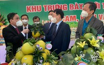 Bắc Giang hợp tác 7 sàn thương mại điện tử bán nông sản phục vụ tết