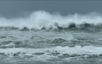 Tin tức thời tiết hôm nay 25.2.2022: Biển Đông gió giật cấp 8, sóng cao 4,5 m
