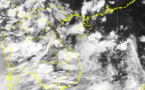 Vùng áp thấp trên Biển Đông có khả năng mạnh lên thành áp thấp nhiệt đới
