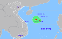 Vùng áp thấp tiến về quần đảo Hoàng Sa, cảnh báo nguy hiểm trên Biển Đông