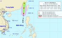 Áp thấp nhiệt đới mạnh lên thành bão số 3