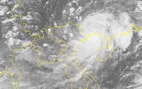 Dự báo thời tiết 3.8.2019: Bão số 3 suy yếu thành áp thấp nhiệt đới