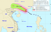 Dự báo thời tiết hôm nay 19.8.2020: Bão số 4 giật cấp 13, Biển Đông có lốc xoáy