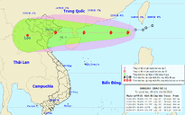 Áp thấp nhiệt đới mạnh lên thành bão số 5