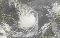 Dự báo bão số 6: Tâm bão gió mạnh giật cấp 13, cách Bình Định-Khánh Hòa 170 km