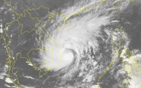 Tâm bão số 5 đang đổ bộ vào các tỉnh Bình Định và Phú Yên