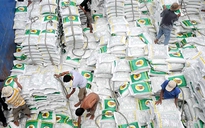 VFA không còn cơ hội độc quyền phân quota xuất khẩu gạo