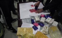 Lào Cai: Phá đường dây buôn bán, vận chuyển trên 20.000 viên ma túy tổng hợp