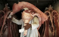 Kiến nghị Bộ NN - PTNT dừng nhập khẩu thịt bẩn từ Brazil